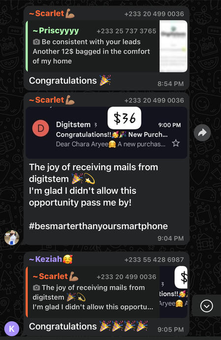 This lady made a whooping $36 by just promoting digital products using her smartphone 🎊