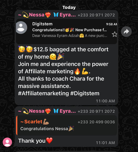 This lady made a whooping $12 by just promoting digital products using her smartphone 🎊